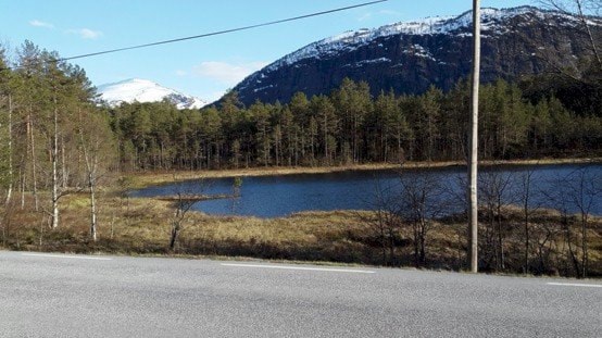 Nærløp Bulingstjørna